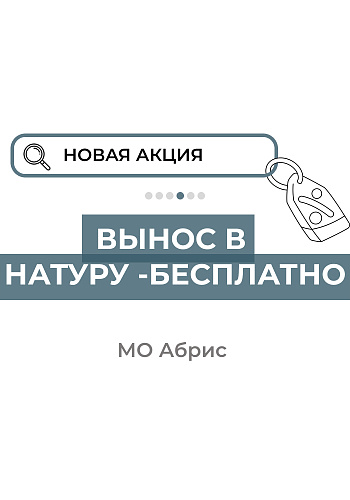Вынос в натуру бесплатно