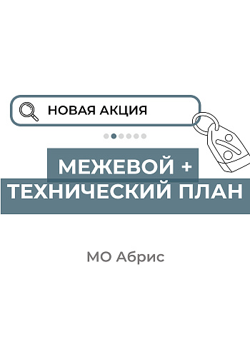 Межевой + технический план